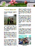 Newsletter Mai 2013